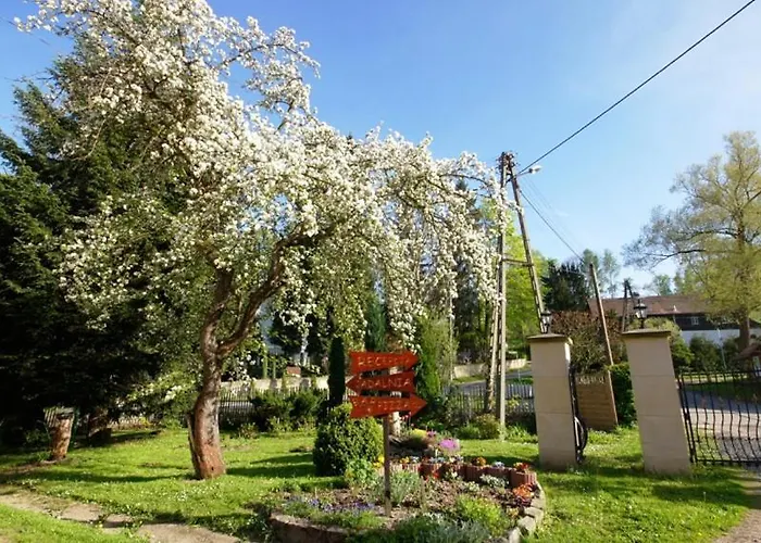 Gosciniec Jas -sniadania I Obiadokolacje Szwedzki Stol W Cenie Bezplatny Parking * Szklarska Poręba
