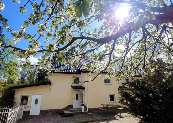 Gosciniec Jas -sniadania I Obiadokolacje Szwedzki Stol W Cenie Bezplatny Parking Resort Szklarska Poręba