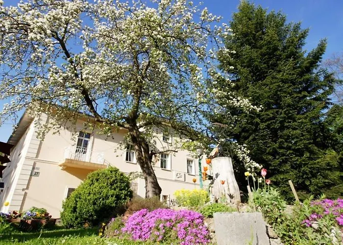 Gosciniec Jas -sniadania I Obiadokolacje Szwedzki Stol W Cenie Bezplatny Parking